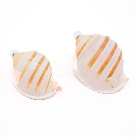 Natural Shell DJEW-WH0010-70-1