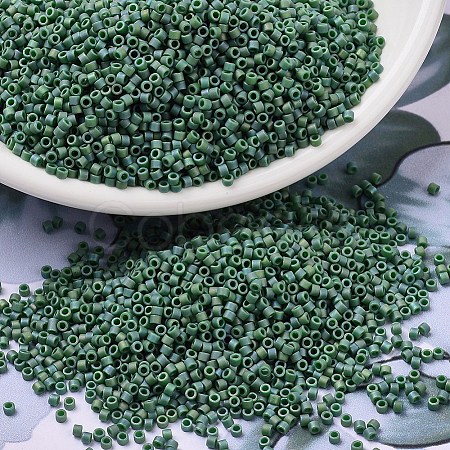 MIYUKI Delica Beads LS-X-SEED-J020-DB2311-1