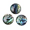 Natural Paua Shell Cabochons, Flat Round, 12x2.5mm