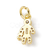 Brass Micro Pave Cubic Zirconia Charms ZIRC-F132-08G-2