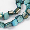 Shell Beads Strands PBB051Y-3