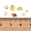 Natural Yellow Opal Beads G-O103-28-3