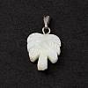 Natural Trochid Shell/Trochus Shell Pendants SSHEL-M021-10-3