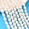 Natural Cultured Freshwater Pearl Beads Strands PEAR-D003-01D-10-1