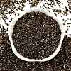 Electroplate Glass Seed Beads SEED-H003-10I-3