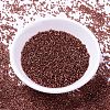 MIYUKI Delica Beads SEED-X0054-DB2160-2