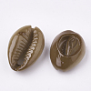 Spray Painted Natural Cowrie Shell Beads X-SHEL-S274-26-3