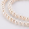 Natural Cultured Freshwater Pearl Beads Strands PEAR-R063-07A-4