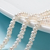 Natural Cultured Freshwater Pearl Beads Strands X-PEAR-I004-07B-01A-5