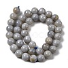 Natural Gemstone Beads Strands G-L641-A01-03-3