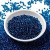 MIYUKI Round Rocailles Beads SEED-X0055-RR0149-2