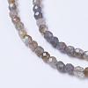 Natural Labradorite Beads Strands G-F568-199-4mm-3