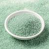 MIYUKI Round Rocailles Beads X-SEED-G009-RR0370-2