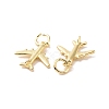 Rack Plating Brass Charms ZIRC-C042-09G-2