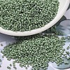 MIYUKI Delica Beads SEED-MY11-DB2310-1