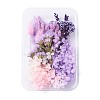 Dried Flowers DIY-D052-11-1