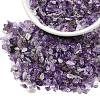 Natural Amethyst Chip Beads G-L453-06-5