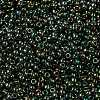 MIYUKI Round Rocailles Beads X-SEED-G008-RR2446-3