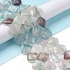 Natural Rhombus Fluorite Beads Strands G-L254-08-2
