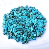 Synthetic Turquoise Tumbled Chips PW-WGA7DCE-16-1