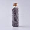 Glass Wishing Bottle DJEW-L013-A04-1