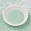MIYUKI Delica Beads X-SEED-J020-DB1506-2
