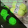 5 Skeins Light Two-Tone Luminous Polyester Yarn OCOR-SZ0002-09A-4
