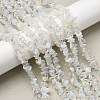 Opalite Beads Strands G-P332-11-6