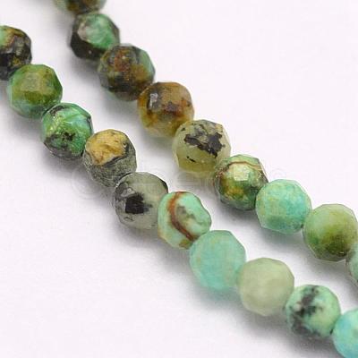 Natural African Turquoise(Jasper) Beads Strands G-F509-29-3mm-1