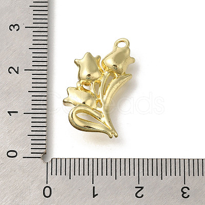 Alloy Pendants FIND-Z067-05G-06-1