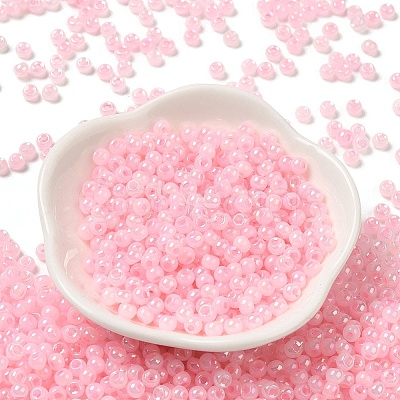 Glass Seed Beads SEED-H002-H-1305-1