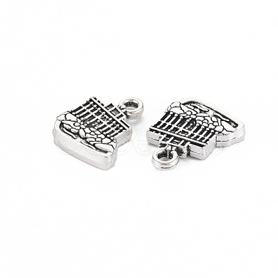 Tibetan Style Alloy Charms TIBEP-N011-016-1