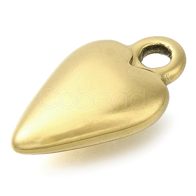 Ion Plating(IP) 304 Stainless Steel Pendants STAS-I310-06G-1