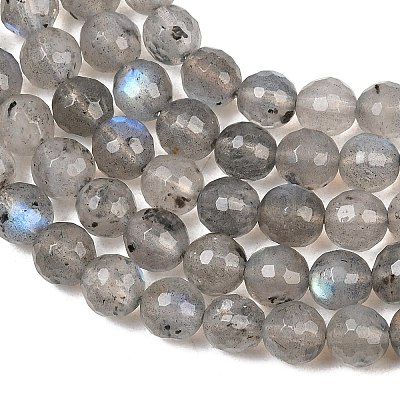 Natural Labradorite Beads Strands G-O176-04B-1