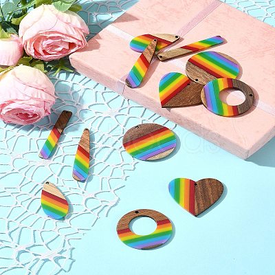 12Pcs 6 Styles Pride Rainbow Theme Resin & Walnut Wood Pendants WOOD-FS0001-32-1