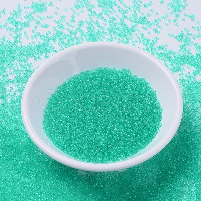 MIYUKI Delica Beads SEED-J020-DB1304-1