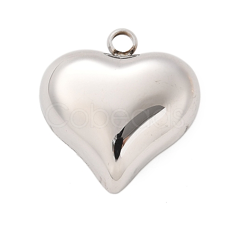 304 Stainless Steel Pendants STAS-Q349-02F-P-1