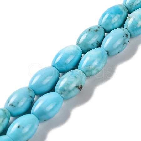 Natural Howlite Beads Strands G-H025-02B-1