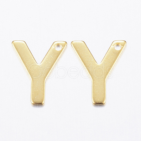 304 Stainless Steel Charms LS-X-STAS-P141-Y-1