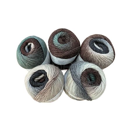Gradient Section Dyed Icelandic Wool Knitting Crochet Yarn YCOR-PW0001-007A-25-1