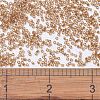 MIYUKI Delica Beads SEED-X0054-DB1241-4