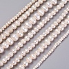 Natural Cultured Freshwater Pearl Beads Strands PEAR-L021-16-01A-1