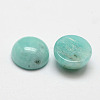Dome/Half Round Natural Amazonite Cabochons G-O146-02D-2