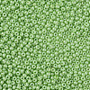 11/0 Czech Opaque Glass Seed Beads SEED-N004-003B-34-4