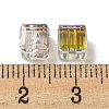 Electroplate Glass Beads EGLA-Z004-04B-06-3