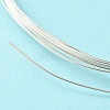 Dead Soft 925 Sterling Silver Wire STER-NH002-A-2