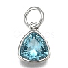 304 Stainless Steel Cubic Zirconia Pendant ZIRC-P080-B03-1