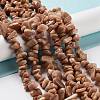 Natural Sunstone Chip Beads Strands G-M205-15B-2