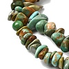 Natural HuBei Turquoise Bead Strands G-H345-A01-04-4