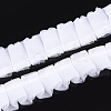 Organza Ribbon ORIB-S047-04I-1